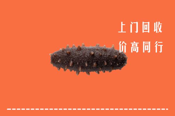 水城区回收海参