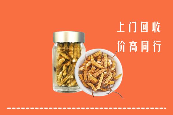 水城区回收冬虫夏草